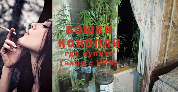 сатива Зеленодольск