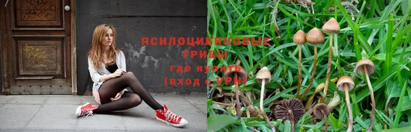 сатива Зеленодольск