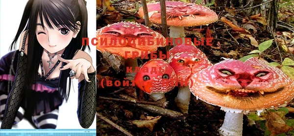 молекула духа Инсар