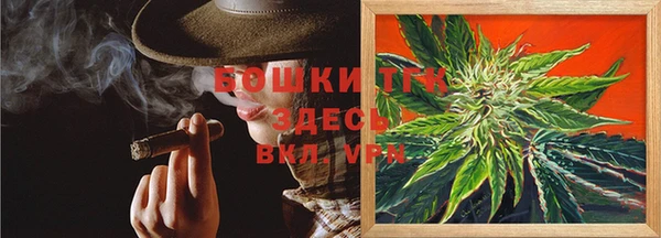 молекула духа Инсар